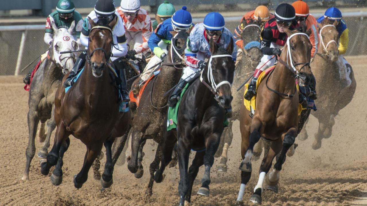 Arkansas Derby Results 2021 Field Odds, Post Positions, Post Time